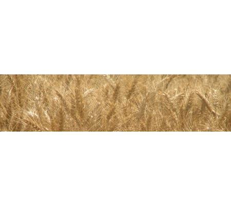 Compass Feeds Pty Ltd - Nangkita, SA