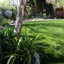 Central Coast Synthetic Turf