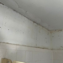 FDP Mold Remediation of Bethesda - Mold Remediation