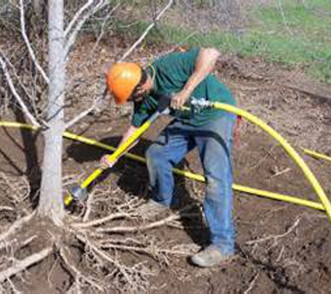 Cassity Tree Service and Care - Sturtevant, WI