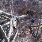 Lockard Tree Service