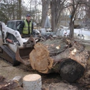 Stephenson Tree Care Inc - Stump Removal & Grinding