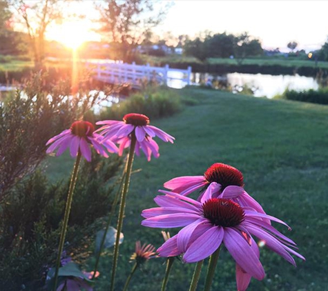 Bridgeview Gardens - Princeton, MN