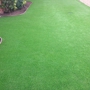 Arti Turf Solutions