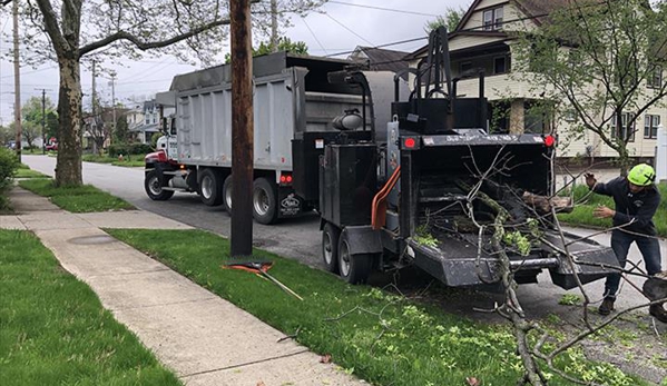 Todds Tree Service Inc - Mantua, OH