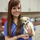Dupont Veterinary Clinic - Veterinarians