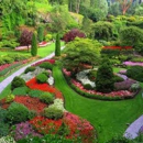 PRO MASTERS Texas - Landscaping & Lawn Services