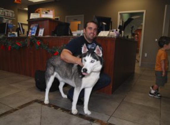 Temple Terrace Animal Hospital - Tampa, FL