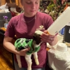 Noah’s Little Ark Petting Zoo & Pony Rides gallery