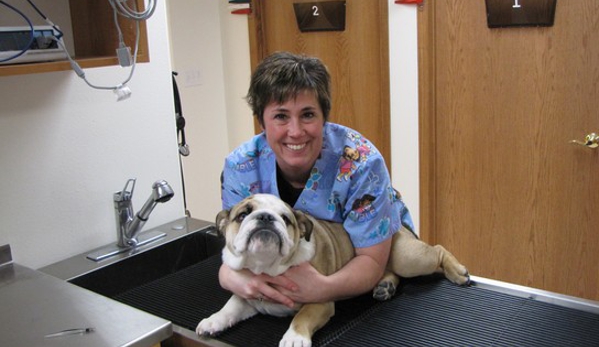 Big Sky Animal Medical Center - Great Falls, MT