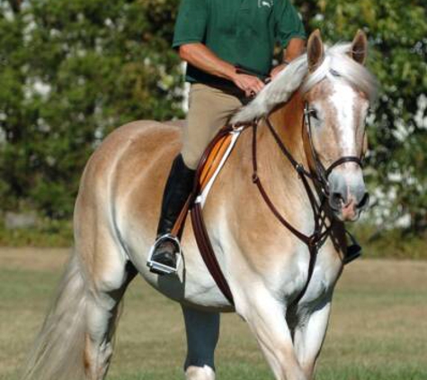 Westfield Equestrian Farm LLC - Dillsburg, PA