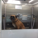 Sunshine mobile Dog Grooming - Pet Grooming