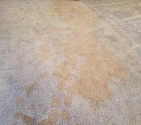 Kobel's Carpet Cleaning & Repairs - Philadelphia, PA