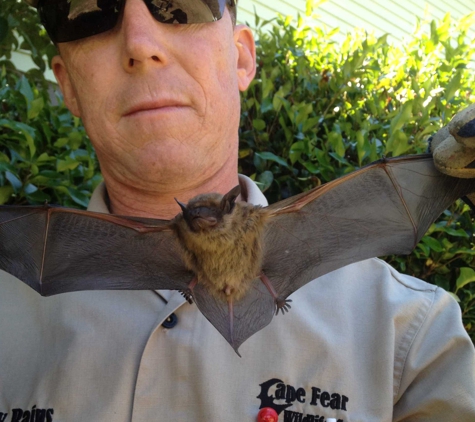 Cape Fear Wildlife Control, LLC