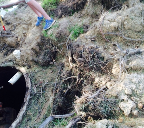 Action Rooter LLC. Roots that were pulled from inside a Delta treatment plant. This was extreme! Never plant a tree near your tank. BAD BAD idea!