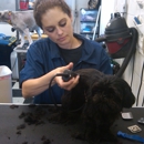 Furry Tails Mobile Pet Grooming - Pet Services