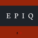 EPIC Insurance - Litigation Support Services