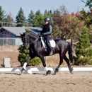 Schmidt Dressage - Horse Breeders