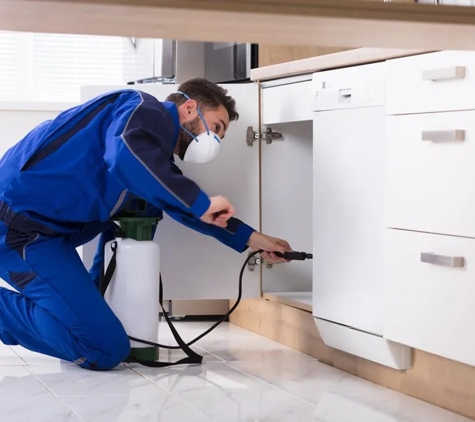 Bligh Park Pest Control - South Windsor, NSW