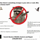 Varmit Busters Wildlife Control & Repair - Bird Barriers, Repellents & Controls