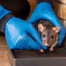 Beyond Pest Management - Pest Control Equipment & Supplies