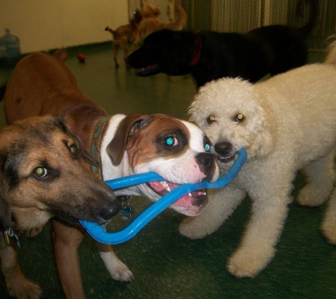 Best Friends Pet Care - White Plains, NY