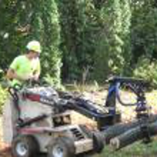 Woodland Tree Care