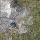 A 1 Septic Tank Service - Port Charlotte - CLOSED