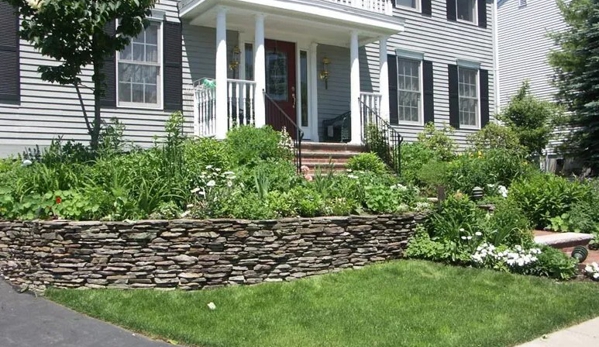 Carpenter Costin Tree and Landscape