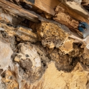 Altair Termite & Pest Control Inc - Pest Control Equipment & Supplies