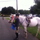 Equestrian Training Center - Horse Training