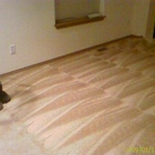 Roto Carpet Cleaning