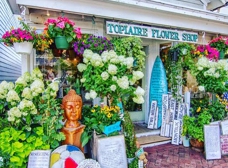 Candy Jar – Topiaire Flower Shop Southampton