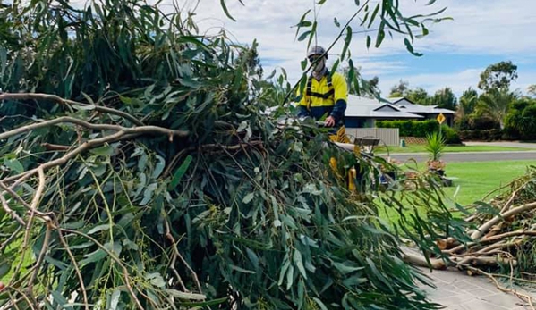 Cut Above Tree Care (Aust) Pty Ltd