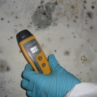 Mold Experts 24/7