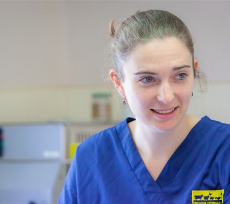 Seymour Veterinary Surgery - Seymour, VIC