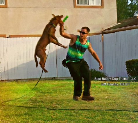 Best Buddy Dog Trainer - Chesapeake Beach, MD