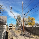 GE Tree Service