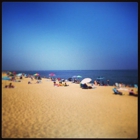 Plum Island Beach Rentals