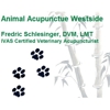 Animal Acupuncture Westside gallery