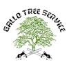 Gallo Tree Service, Inc. gallery