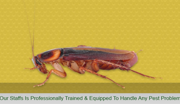 Apex Pest - Asquith, NSW