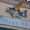 Flying Fish gallery