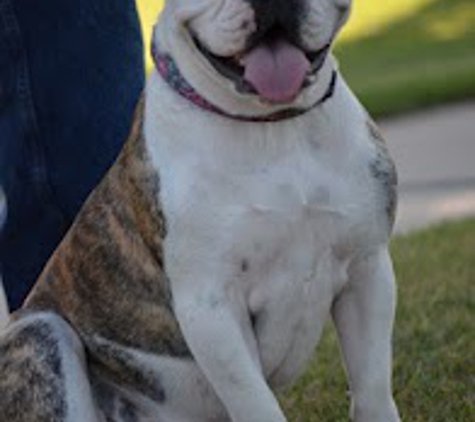 Angelic Canines Dog Training - Moorpark, CA