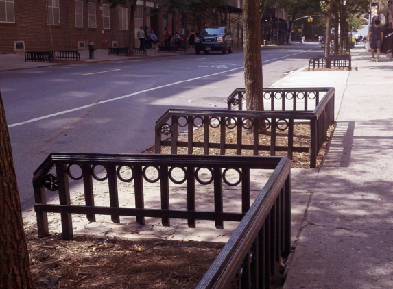 City Tree Guards - Brooklyn, NY