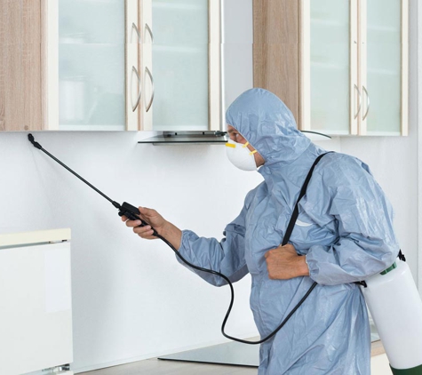 Antibug Pest Management - Castle Hill, NSW