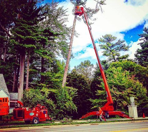 Parshall Tree Service LLC - Traverse City, MI