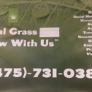 Social Grass - Interactive Media