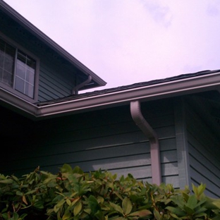 Gutter Guys Services - Bothell, WA