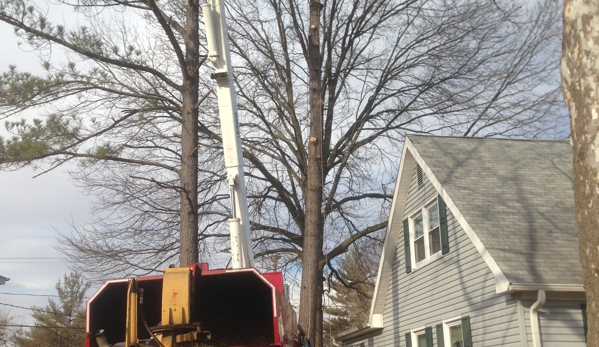 Barton's Tree Care LLC - Crofton, MD